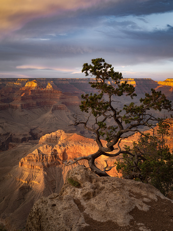 Ed1600-4x3TopazNik_DSF6205-Enhanced-NR copy 2