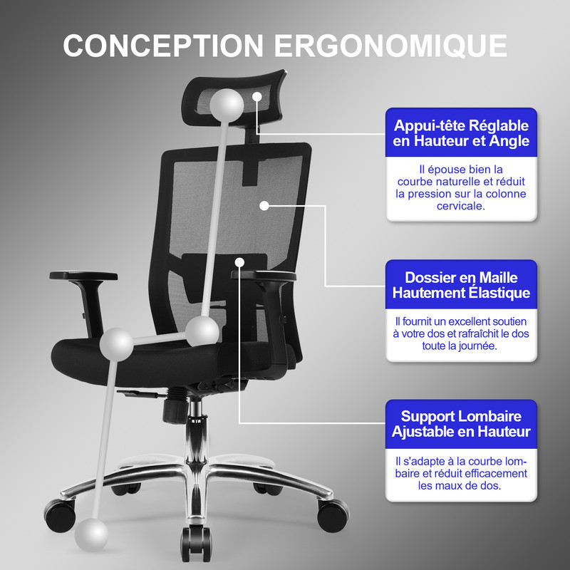 Fauteuil de bureau Homimaster Fauteuil de Bureau Charge 155KG, Chaise de Bureau 3D Soutien lombaire Ergonomique, Accoudoir Ajustable, Inclinable, 1* roues silencieuses, Noire