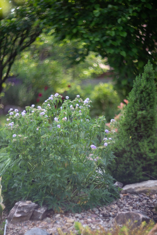 IMG-5134fb554492a77662910d20b211940c-V