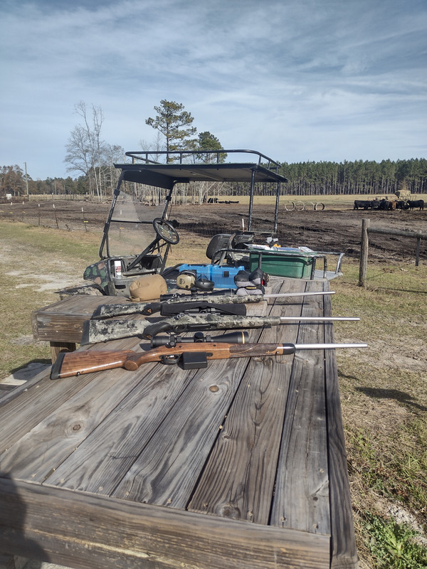 IMG_20241213_141453799_HDR