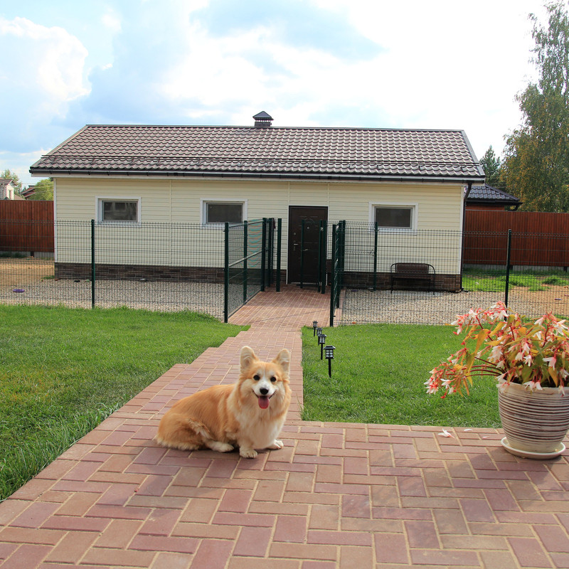 IMG 8689 — Postimages