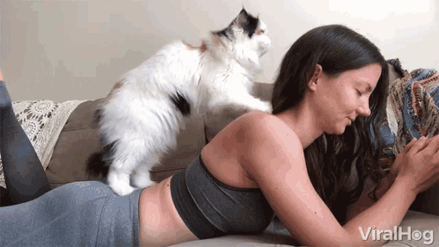 massage-cat.gif