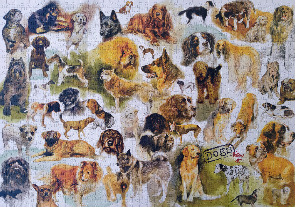 PosterDePerros1000Jumbo