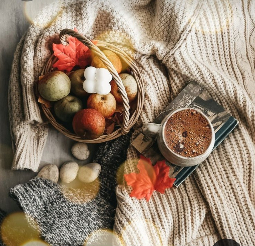 Screenshot_20231031_171557_Pinterest