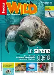Focus Wild – Settembre 2026 [True PDF]