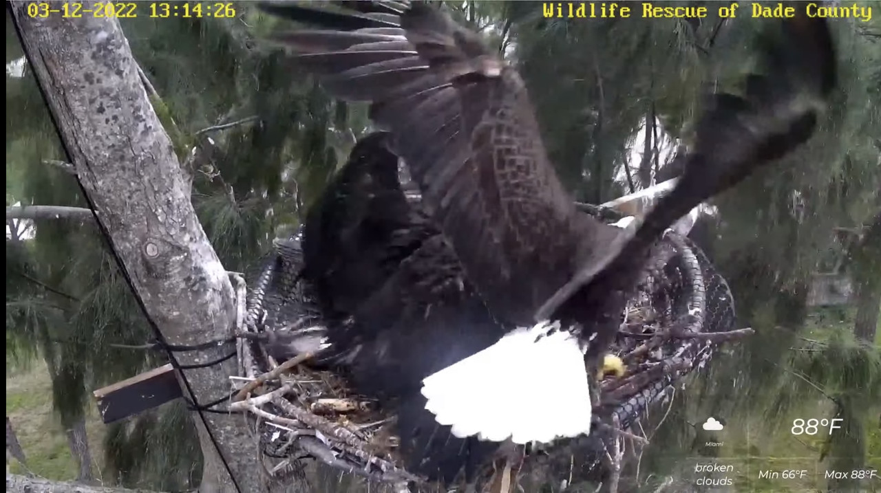 AD30BF05-AC88-44CB-903F-719B4FF1A4AE