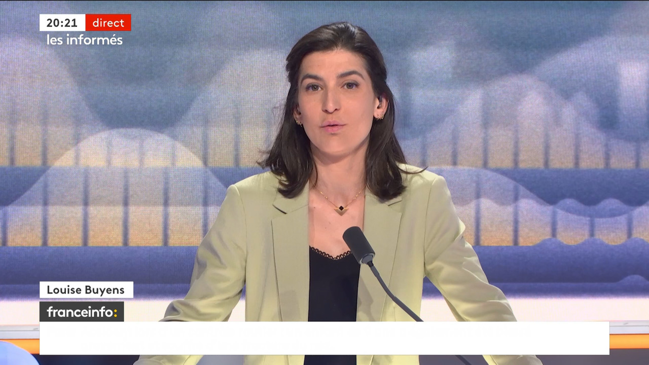 Les informés du soir (Franceinfo)_2024_04_21_18_58_15.ts_snapshot_00.24.10.077
