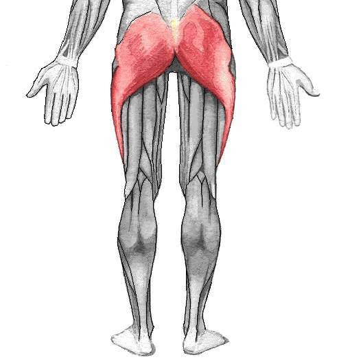 Cuerpo-Humano-8