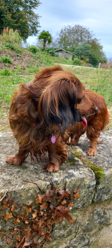 [Image: 20241007-141617.jpg]