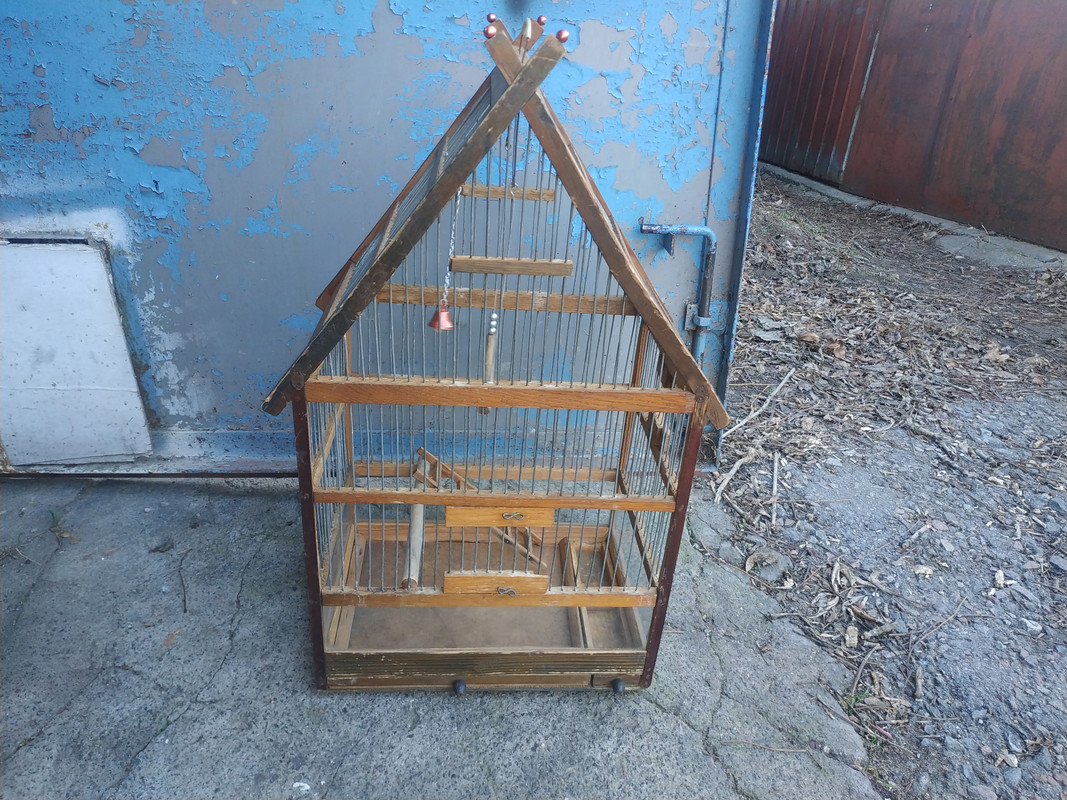 IMG_20240103_091041ф