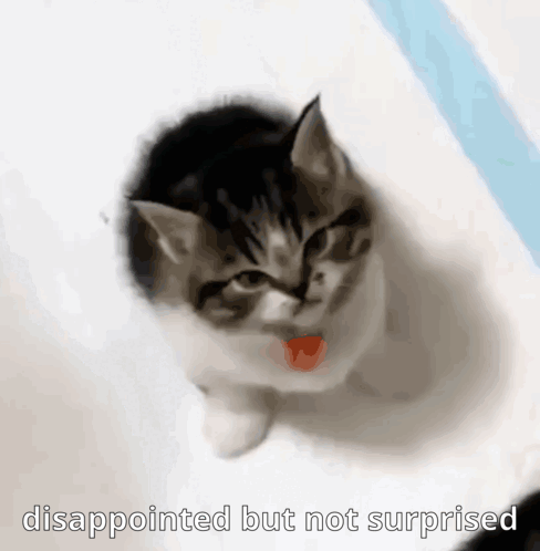 ds.gif