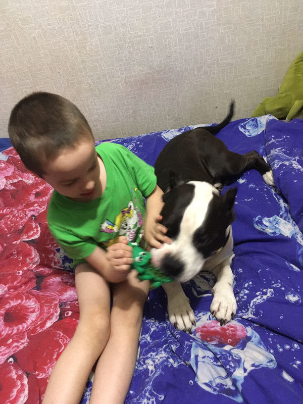 98C5FDF9-D470-4E19-9E87-0C98604EA4DC