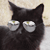 https://i.postimg.cc/bNjWrk7D/animals-24.gif