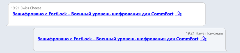 Fort Lock screenshot everyone else see garbage