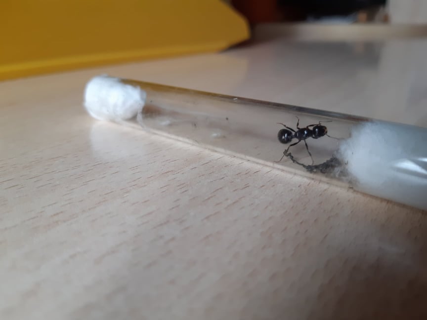 45559872_249961475874737_4761438119151009792_n