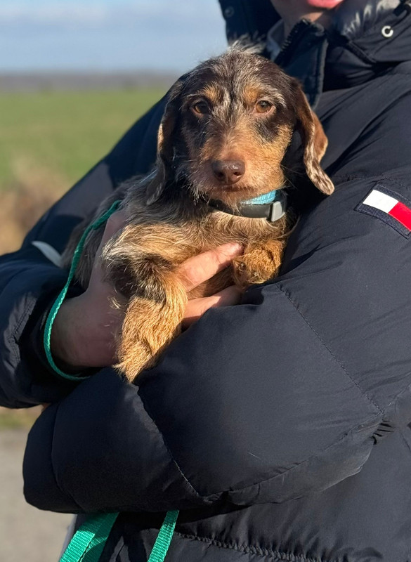 [Image: IMG-20251224-WA0009.jpg]