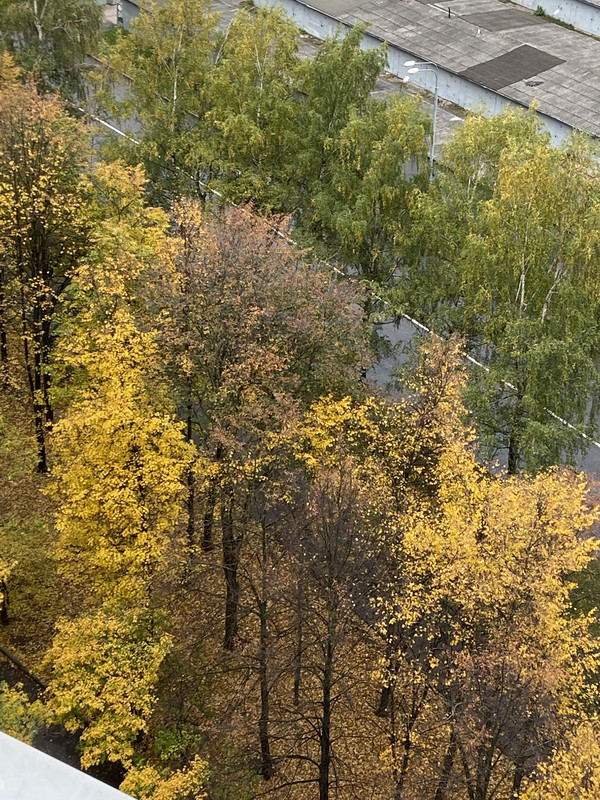 CC6-D570-E-4-C19-4-F6-E-8-CDD-425-E587-D