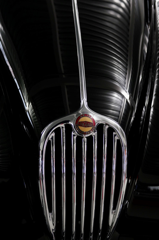 03B81808-2862-4DD9-BDA2-117F8E3A9C1A