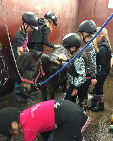 Beskrivande alt-text