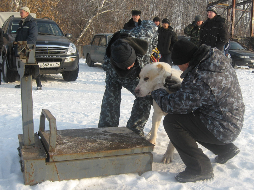 2009.11.21 Вес МЕТИС 86кг 2г1м (1)