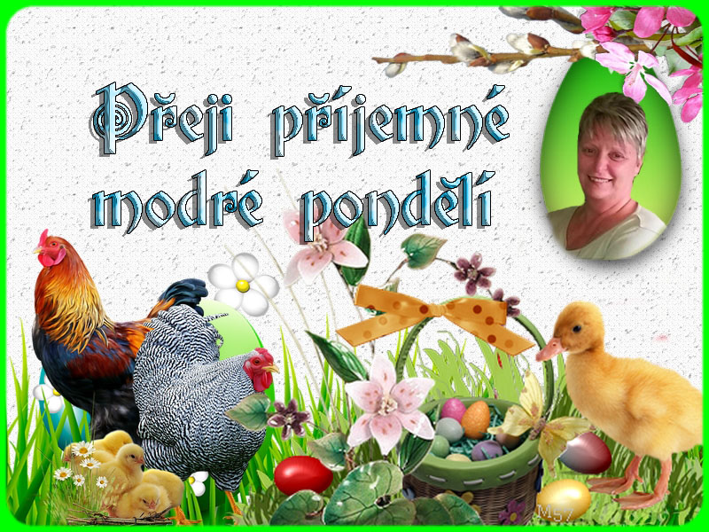 Nepojmenovany-4-kopie-(1)