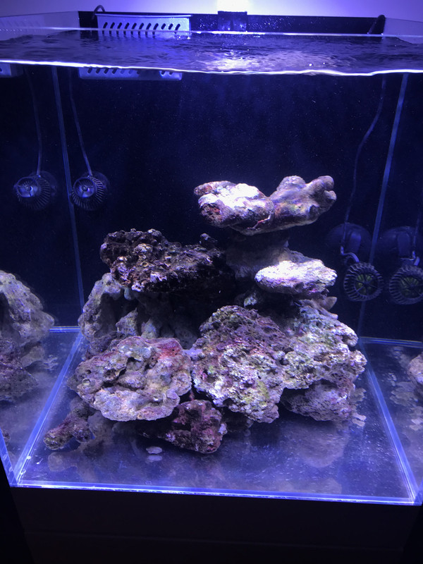 950ABBF8-1C5D-44F9-AA3E-18F4B475D882