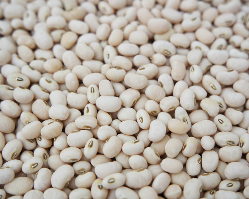 cowpea_fast_lady
