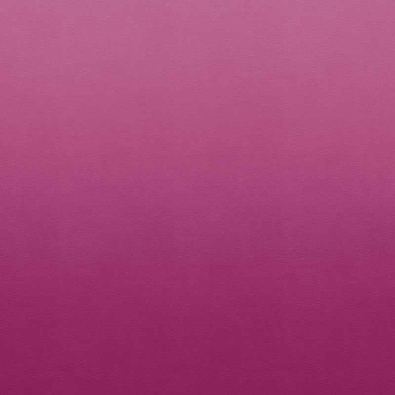 pp4