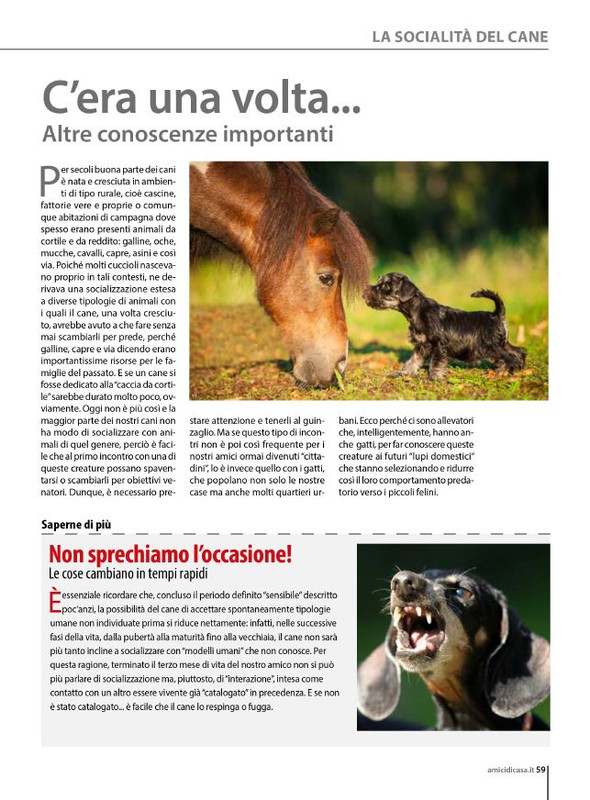 Il M C Mag-Giu 2024 (12)