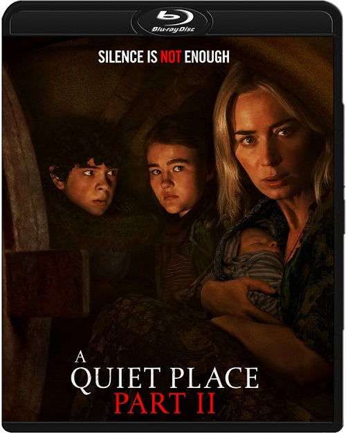 Ciche miejsce 2 / A Quiet Place Part II (2020) MULTi.1080p.BluRay.x264.AC3-DENDA / LEKTOR i NAPISY PL