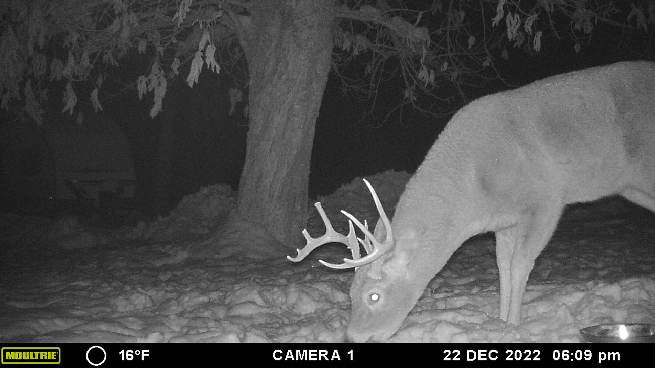 EB53D9CF-B383-4722-A7FE-625B876F7314