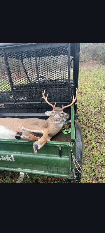 Screenshot 20260122 084612 Messages