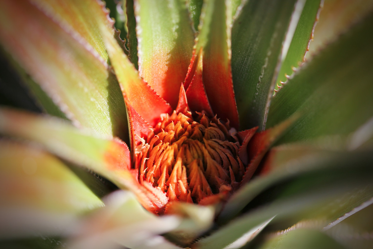 89B43019-DF56-4574-AC0E-65E3DBA95C0C