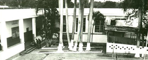 �����������