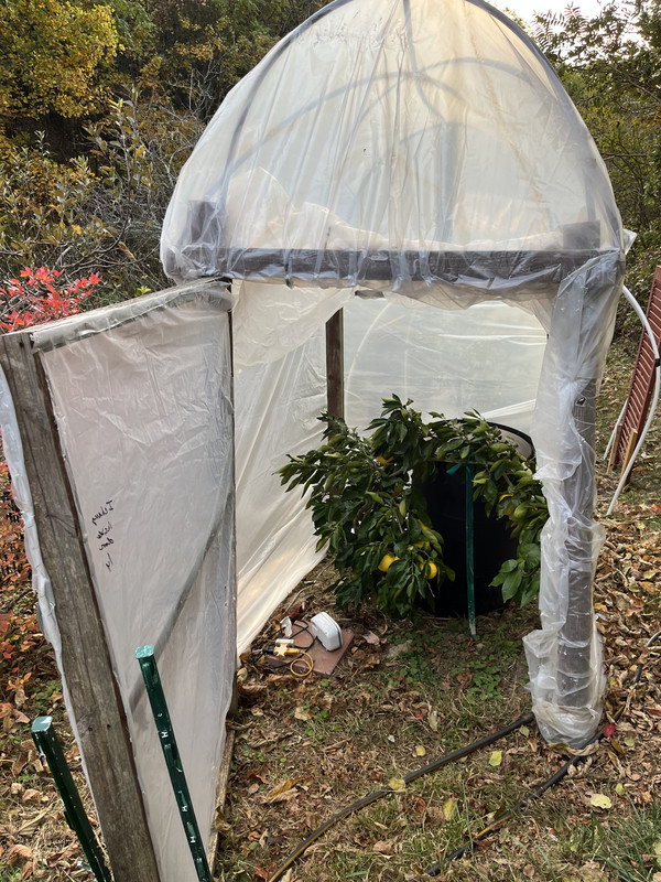 5CF2BEF3-7021-4FC9-A73A-2C6FB016DAD7