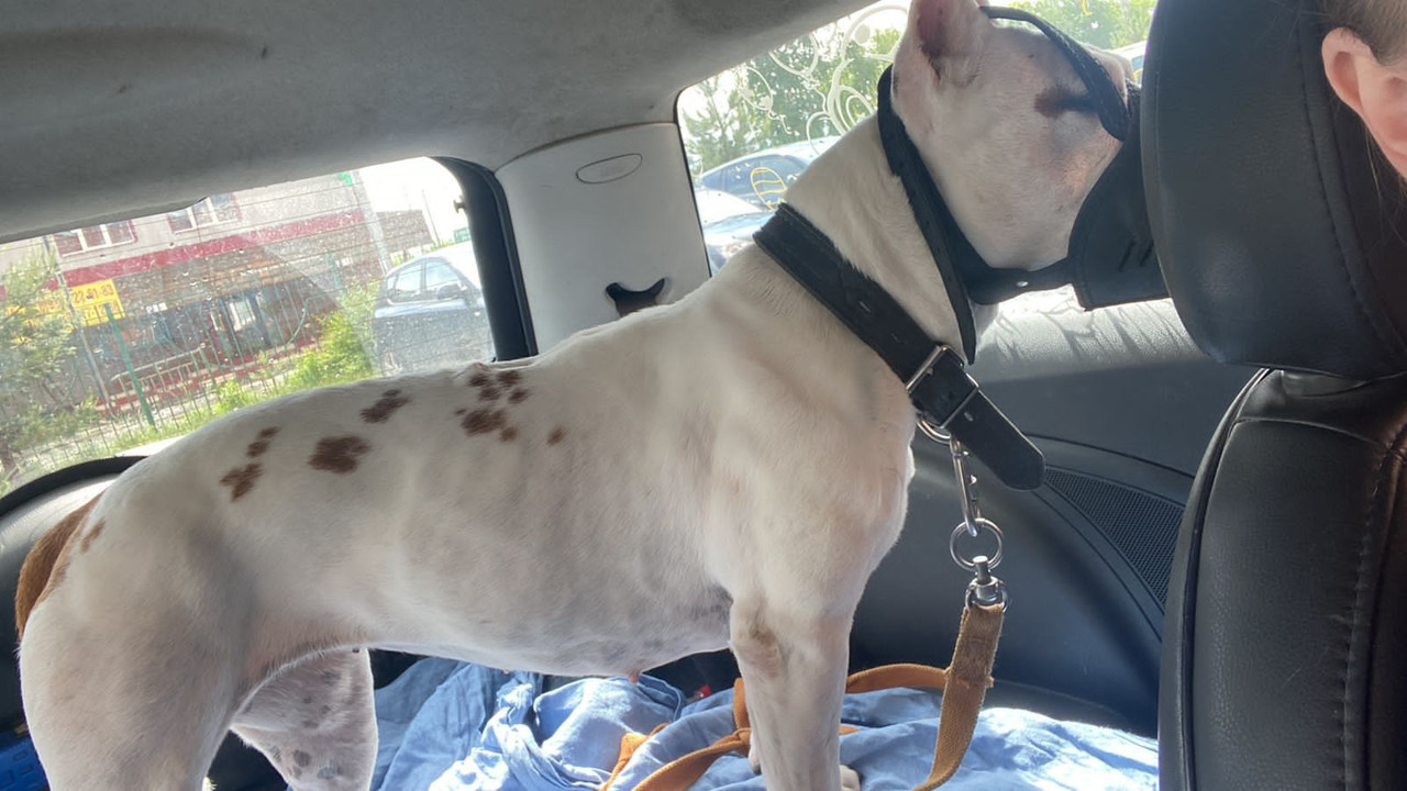 BAAD8D72-C8E7-447E-8737-04804B612325