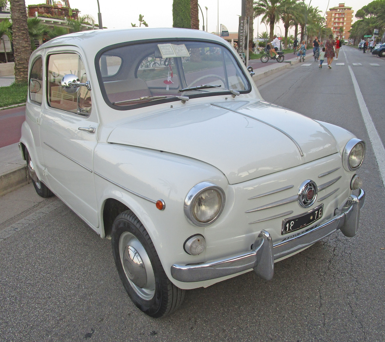 IMG-9113.jpg