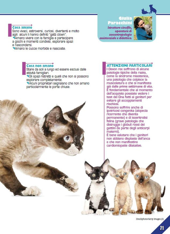 Foc Wil - Giu 2023 (12)