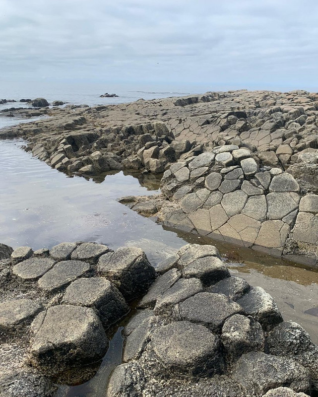 2023-08-03 12-20-32 (7)