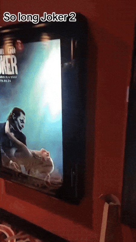 IMG-0550.gif