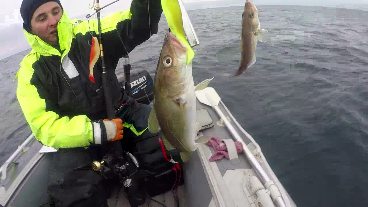 Snapshot(15) - копия