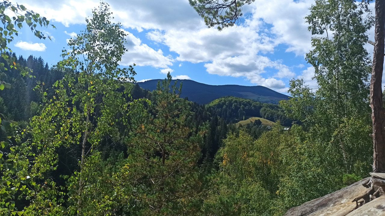 Img 20210903 140656 Postimages