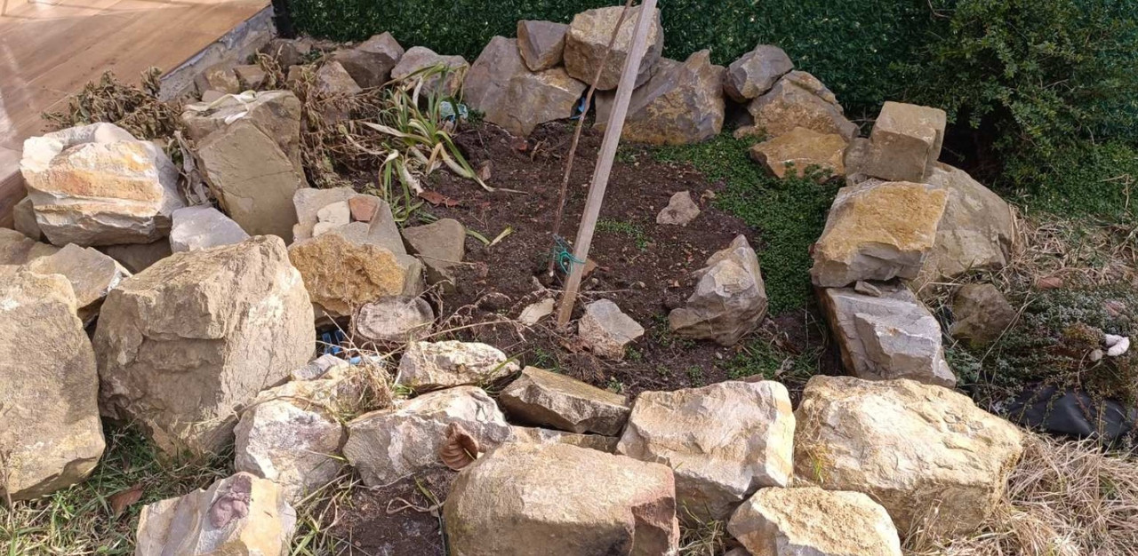 Screenshot 2026 01 18 113155