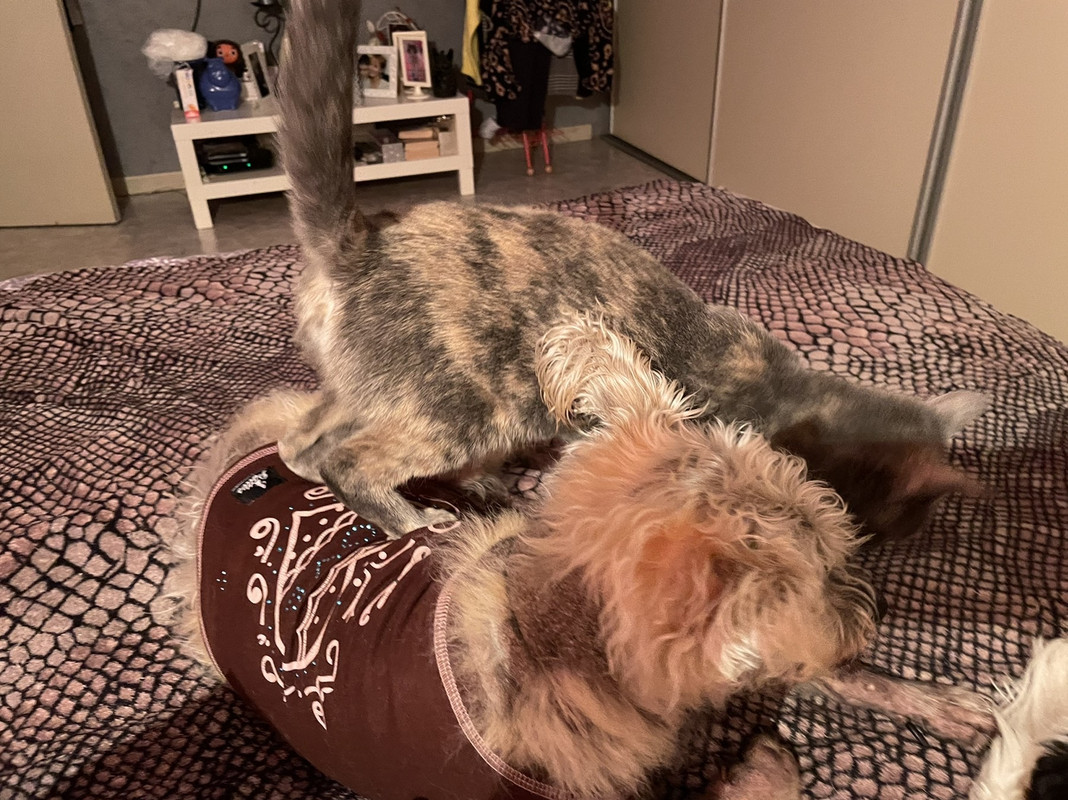 4515DFE7-014E-4CEC-8704-7E3BD6F08DF6