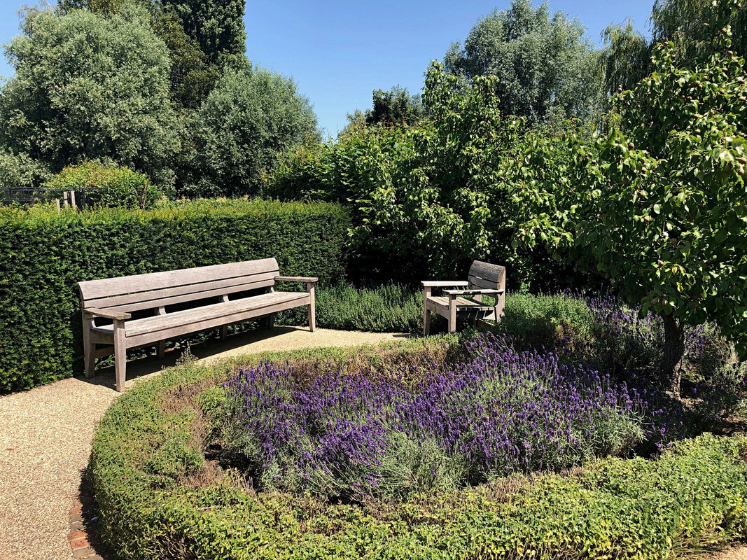 Lavender-Jordans-july-HD.jpg