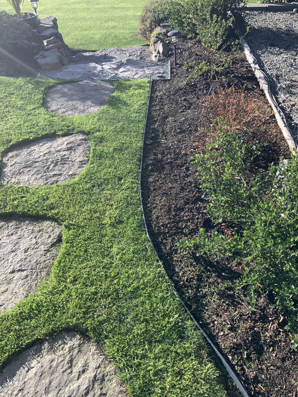 CCCBB37C-F160-4309-AE00-6EFC36CD792E