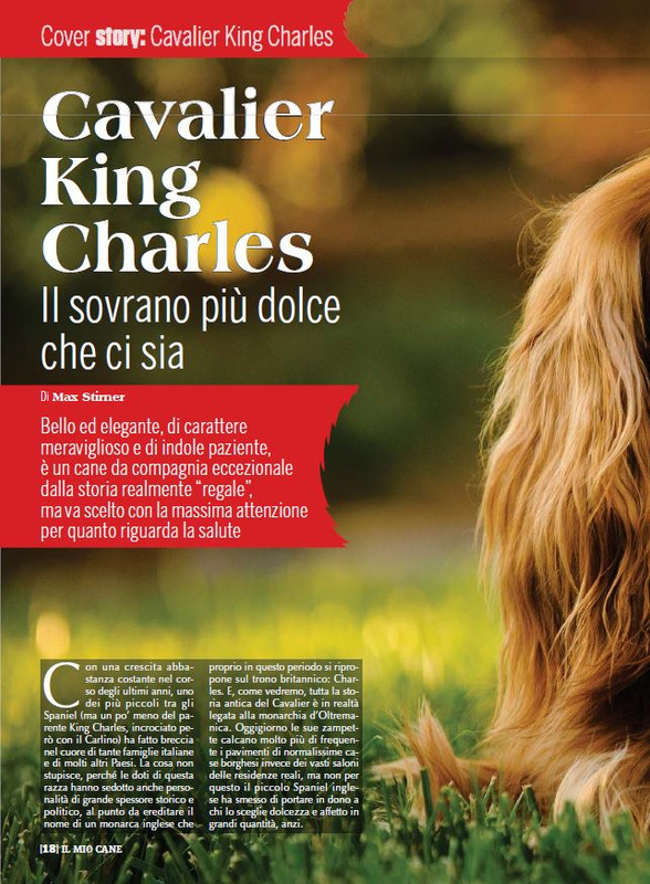 Il M C Dic 2022-Gen 2023 (1)