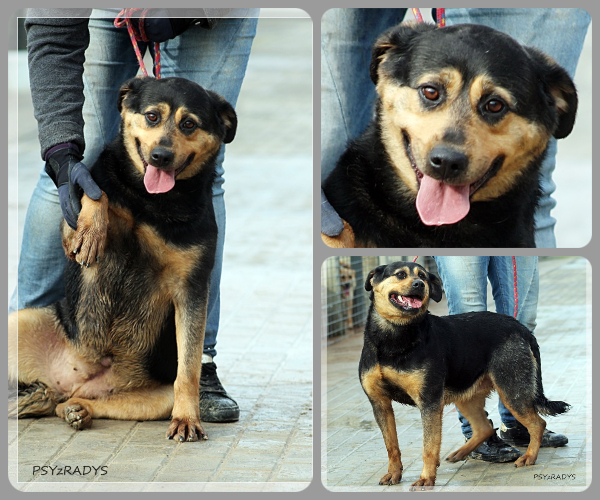 BeFunky-collage (20)