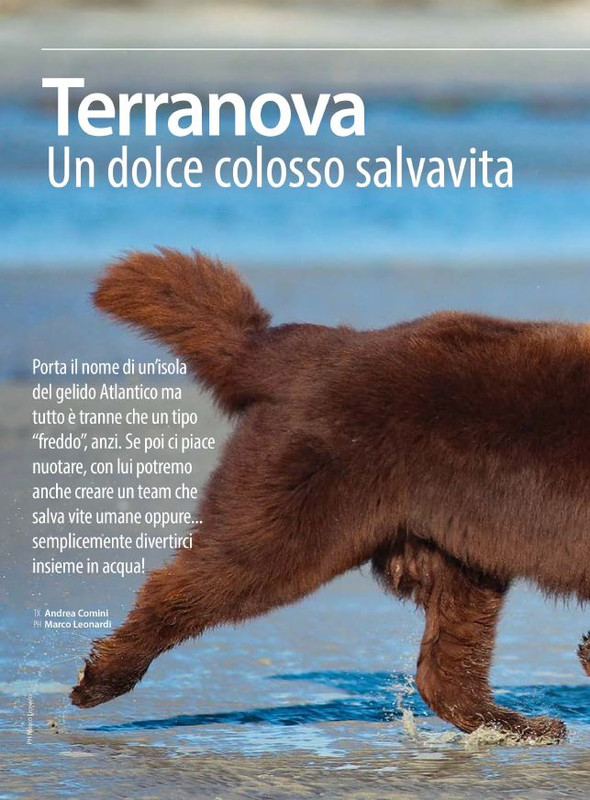 Il M C Mag-Giu 2024 (1)