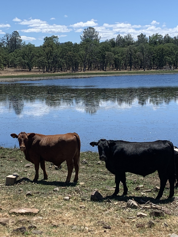 440BE0AC-77DC-4BDE-A281-2D9990F53E54